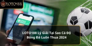 tại sao cá độ bóng đá luôn thua